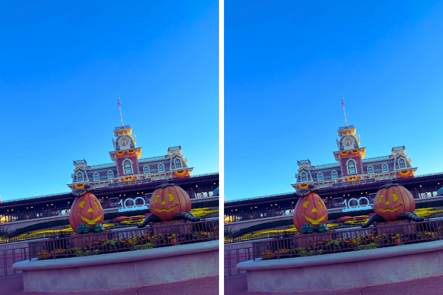 Walt Disney World Halloween 3 Pros & 2 Cons of Visiting Disney World During the Halloween