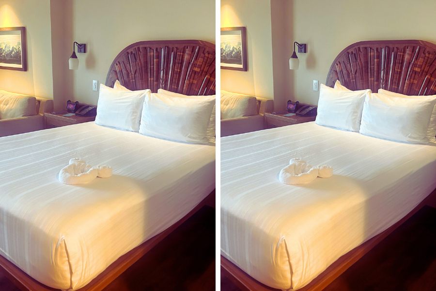 everything-you-should-know-about-the-disney-vacation-club-cancellation